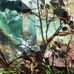 Enid Smith Becker Studio - Facebook