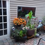 Enid Brown - Facebook