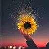 enidbcabrerasanto - @enid.b..cabrera.s - TikTok