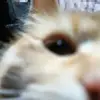 Enidh Cabrera - @enidh.cabrera - TikTok