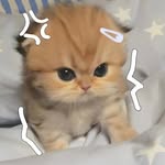 ★Enid-Chan★ - @enidchan33 - Instagram