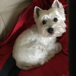 Enid Lambert - @brieni1968 - Instagram