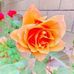 Enid Lambert - Facebook
