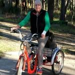 Enid Murray - @guinea475 - Instagram