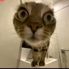 enid - @enid__fanpage - TikTok