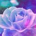 Enid Polanco - Facebook