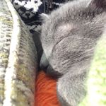 Enid Pollard - @enid.bootsie.lue - Instagram