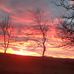 Enid Proctor - Facebook
