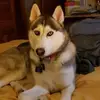Enid Rios - @enidrios0820 - TikTok