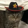 Enid Rose🧿 - @enid.rose00 - TikTok