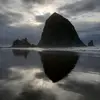 user3351837402983 - @enid.rose - TikTok