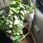 Enid Stewart - @enid.stewart.75 - Instagram