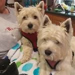 Ennis Jones - @ennisjones25 - Instagram