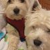Ennis Jones - Facebook