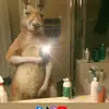 Enoc Morales - @enoc.morales77 - TikTok