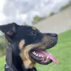 Enoch epps - @enoch.epps - TikTok