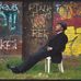 Enoch Mayfield - Facebook