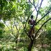 Enos Senanu - Facebook