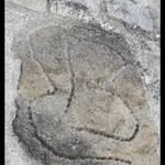 enricobartolini - @enrico.bartolini76 - Instagram