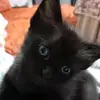 alba_enrique - @alba_enrique - TikTok