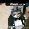 Enrique 👍 - @enrique.alfonso30 - TikTok
