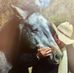 Enrique Arrizon - Facebook