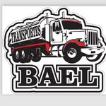 luis enrique arrizon - @transportesbael - Instagram