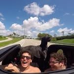 Enrique Baca Saracco - @bacasaracco - Instagram