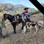 Fabian Enrique Ballesteros Blanco - @fabianenriqueballester - Instagram