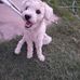 Enrique Barba - Facebook