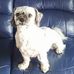 Enrique Baxter - Facebook