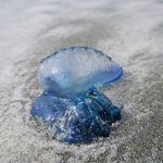 Enrique Ballesteros Berber - @enrique.b.berber - Instagram