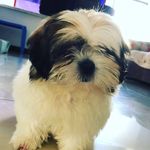 Enrique - @enrique_bertran - Instagram