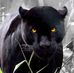 Enrique Borges - Facebook