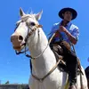 Enrique Borges - @user1098484227883 - TikTok