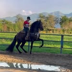 Enrique Borja - @enriqueborja31 - Instagram
