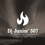 Enrique Botello - @dj_junior_507 - Instagram