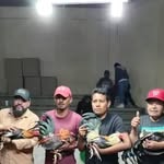 Enrique Campos - @josecampos2635 - Instagram