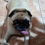 Enrique Canet - @alberdiceleste - Instagram