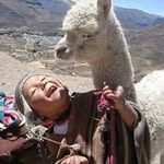 Enrique Clemente - @enriqueclemente1563 - Instagram