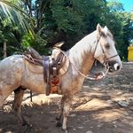 Ismael Enrique Cocom Chi - @ismael.cocom - Instagram
