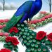 Enrique Conde - Facebook
