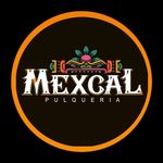 Enrique Galvan - @pulqueriamexcal - Instagram