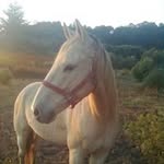 Enrique Galvan Campos - @enriquegalvancampos - Instagram
