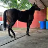 Enrique Tejeda heredia - @enrique.tejeda.he - TikTok
