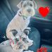Enrique Kim - Facebook