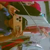 La Morena esa.🤍 - @enrique.lugo79 - TikTok