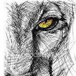 Enrique Macias - @enrique_macias - Instagram