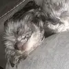Enrique Macias - @macias2128 - TikTok
