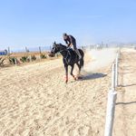 Enrique Meneses - @semilla_2709 - Instagram
